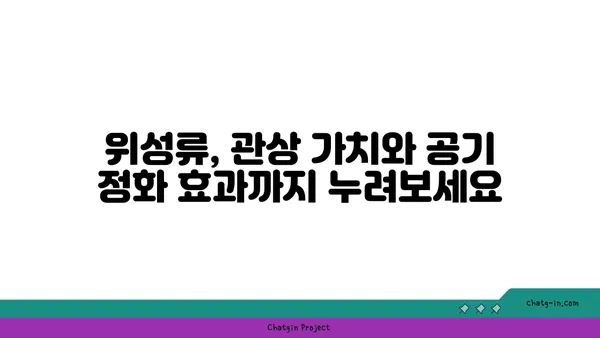 위성류의 매력에 빠지다| 종류별 특징과 인기 위성류 소개 | 위성류, 식물, 관상, 재배, 종류, 인기