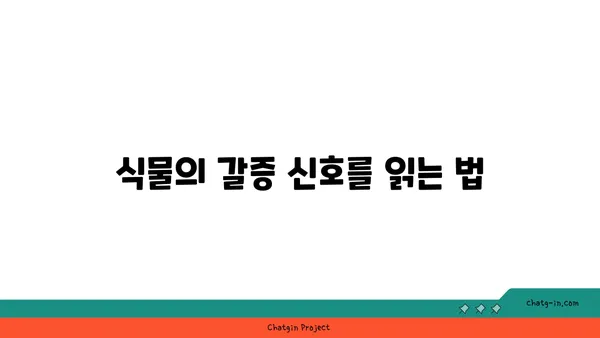 식물을 위한 완벽한 물주기 가이드| 시들지 않고 건강하게 키우는 비법 | 물주기, 식물 관리, 건강한 식물