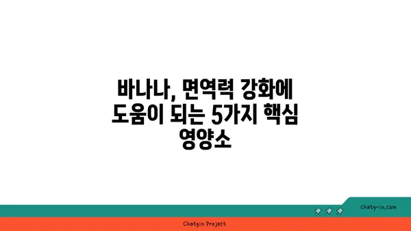 바나나, 면역력 강화에 효과적인 이유| 5가지 과학적 근거 | 면역력 증진, 건강 식단, 바나나 효능