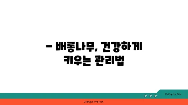 배롱나무 꽃 피는 시기와 관리법 | 배롱나무, 꽃, 개화, 관리, 팁