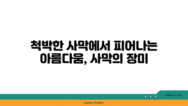 사막의 장미, 그 매혹적인 아름다움과 생존의 비밀 | 사막 식물, 선인장, 생존 전략, 꽃