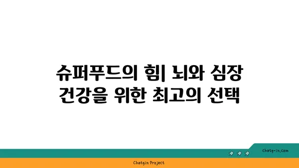 두뇌와 심장 건강을 혁신하는 5가지 슈퍼푸드 | 건강 식단, 뇌 기능 향상, 심혈관 건강