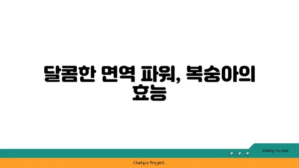 복숭아의 비타민 채식지| 면역력 강화를 위한 필수 과일 | 복숭아 효능, 면역력 증진, 건강 식단