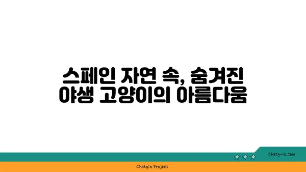 스페인 스라소니| 매혹적인 야생 고양이의 모든 것 | 스페인 고양이, 야생 동물, 동물 정보, 스페인 자연