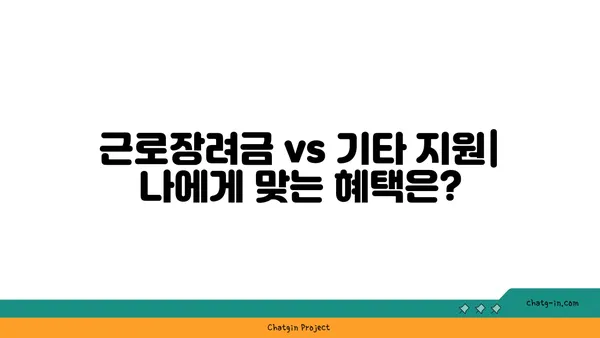 근로장려금 vs 기타 지원 프로그램| 나에게 맞는 혜택 찾기 | 지원 대상, 신청 방법, 차이점 비교