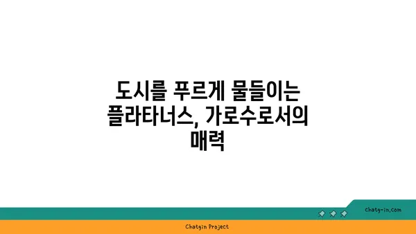 플라타너스(버즘나무)의 매력| 가로수, 정원수, 그리고 그 너머 | 나무, 식물, 특징, 관리, 용도