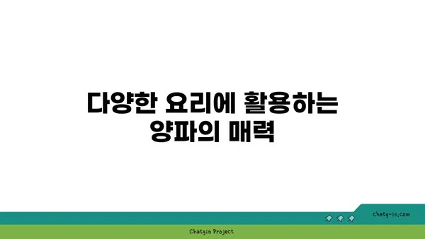 양파의 놀라운 효능과 영양 가치| 건강을 위한 선택 | 건강, 식단, 면역력, 항산화, 채소, 요리