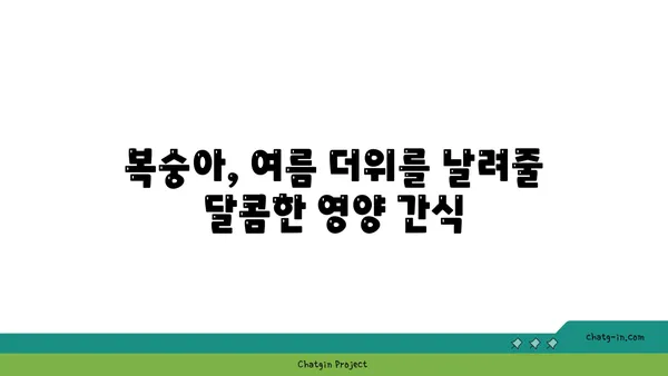 복숭아의 여름 햇살| 자연이 선물하는 달콤한 영양 간식 | 복숭아 효능, 복숭아 레시피, 여름 과일