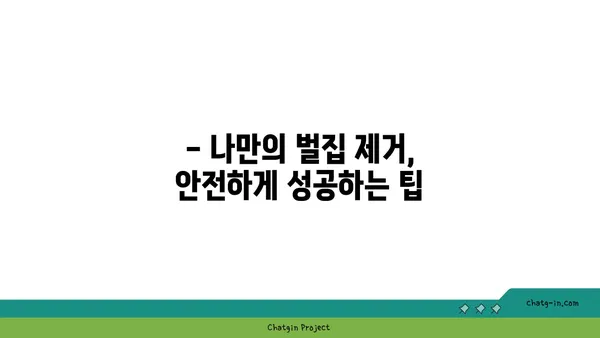 벌집 제거, 안전하게 해결하는 방법 | 벌 제거, 벌집 제거, 벌 쏘임, 안전 가이드