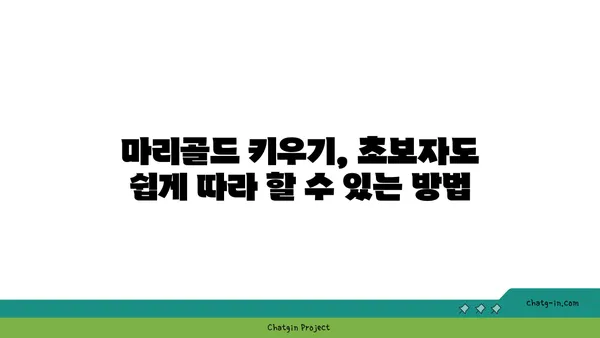 마리골드 꽃의 매력, 심는 방법부터 관리까지 완벽 가이드 | 마리골드 키우기, 꽃말, 종류, 효능