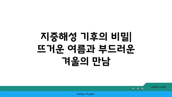 지중해성 기후의 특징과 대표적인 지역| 햇살 가득한 아름다운 기후의 비밀 | 지중해, 기후, 날씨, 여행, 식물