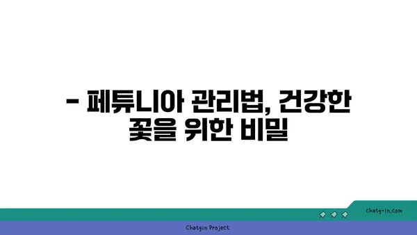 페튜니아 종류별 특징과 관리법| 화려한 꽃밭을 위한 완벽 가이드 | 페튜니아, 품종, 재배, 관리, 꽃