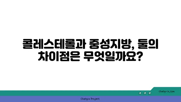 중성지방과 콜레스테롤| 당신은 얼마나 알고 있나요? | 건강, 지방, 콜레스테롤, 차이점, 비교