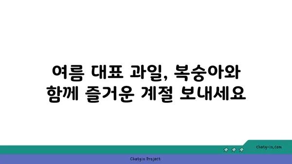 복숭아의 여름 햇살| 자연이 선물하는 달콤한 영양 간식 | 복숭아 효능, 복숭아 레시피, 여름 과일