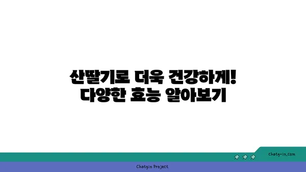 산딸기 효능과 맛있게 먹는 법 | 제철 과일, 건강 레시피, 잼 만들기