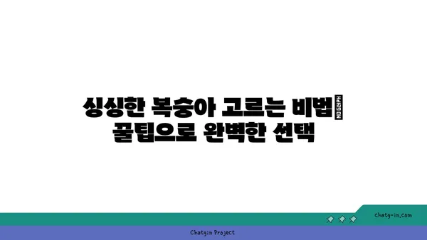 복숭아의 맛있는 비밀| 건강과 즐거움을 위한 과일 | 복숭아 효능, 복숭아 맛있게 먹는법, 복숭아 고르는법