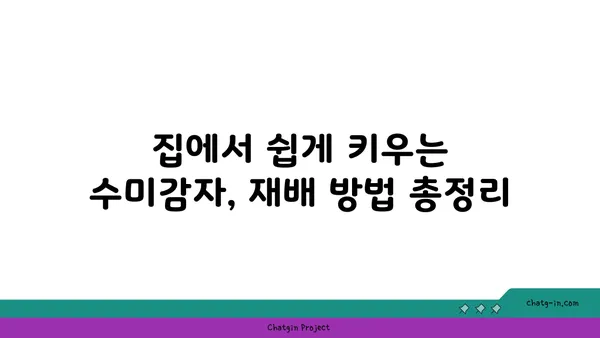 수미감자| 감자와 고구마를 능가하는 건강한 선택 | 수미감자 효능, 수미감자 레시피, 수미감자 재배