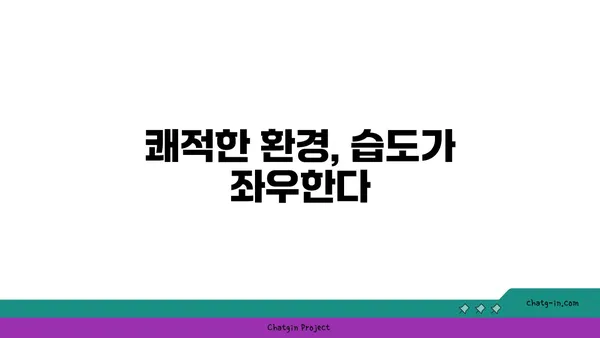 쾌적함의 비밀| 사람이 가장 편안하게 느끼는 습도는? | 습도, 상대습도, 쾌적 온도, 쾌적 환경