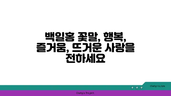 백일홍의 매력에 빠지다|  꽃말, 종류, 재배 방법 완벽 가이드 | 백일홍, 꽃, 원예, 재배, 종류, 꽃말