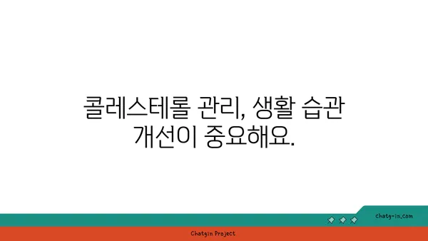 콜레스테롤과 심혈관 질환| 위험 평가와 예방 가이드 | 건강 관리, 심장 건강, 생활 습관