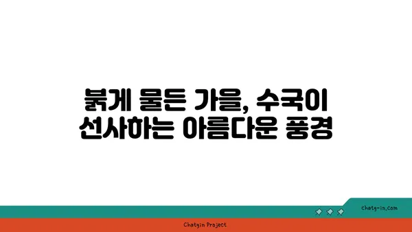 가을 정원을 물들이는 수국의 매혹적인 색상 변화 | 가을 수국, 수국 색깔, 가을 정원