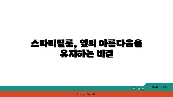 스파티필룸 키우기 완벽 가이드| 잎, 물주기, 번식, 병충해 관리 | 식물 키우기, 실내 식물, 공기 정화 식물