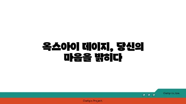 옥스아이 데이지와 함께하는 마음챙김 연습| 집중력 향상과 평온 찾기 | 명상, 자연, 집중, 스트레스 해소