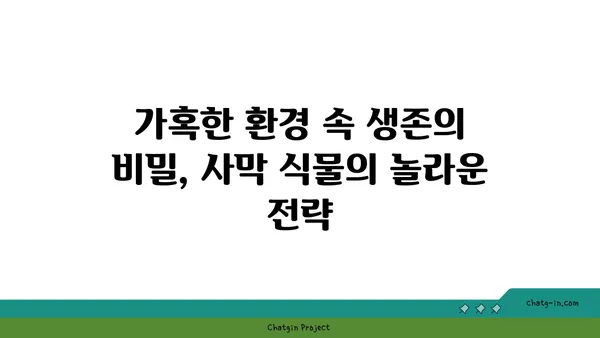 사막의 장미, 그 매혹적인 아름다움과 생존의 비밀 | 사막 식물, 선인장, 생존 전략, 꽃