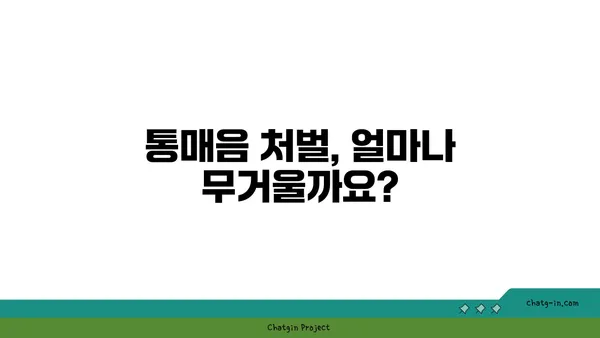 통매음, 무엇을 알아야 할까요? | 통신매체이용음란, 처벌, 범죄, 법률, 변호사, 대처법, 신고