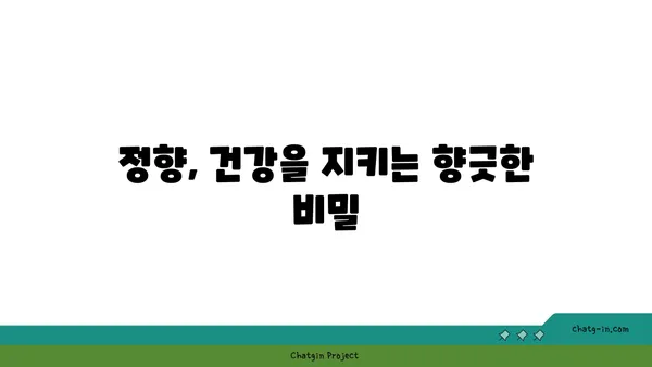 정향의 놀라운 효능과 활용법| 건강, 요리, 그리고 미용까지 | 정향, 건강, 요리, 미용, 효능, 활용