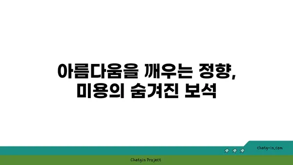 정향의 놀라운 효능과 활용법| 건강, 요리, 그리고 미용까지 | 정향, 건강, 요리, 미용, 효능, 활용