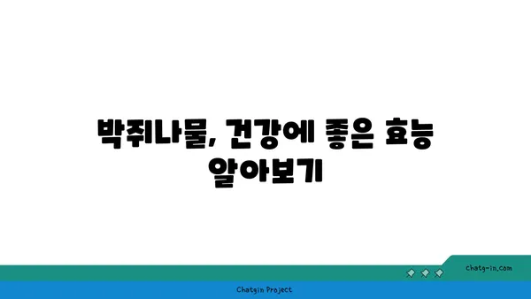 박쥐나물의 효능과 부작용| 섭취 시 주의사항 | 약초, 건강, 민간요법