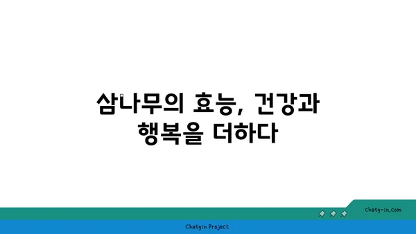 삼나무의 매력, 그 숨겨진 이야기 | 삼나무 효능, 재배, 활용, 나무 이야기