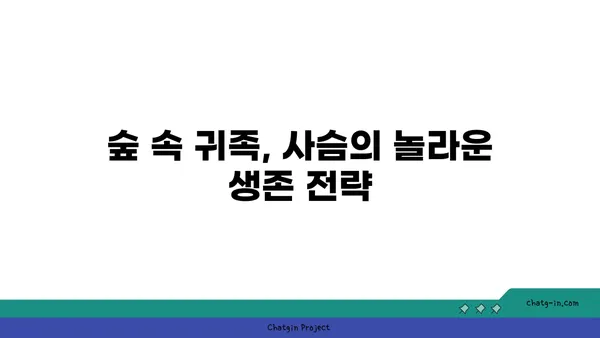 사슴의 비밀|  숲 속 귀족의 생존 전략 | 사슴, 생태, 야생동물, 숲, 동물