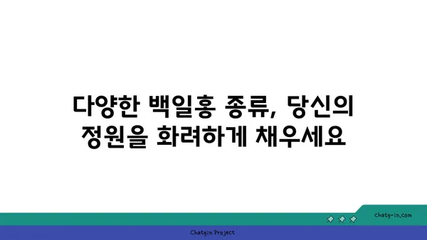 백일홍의 매력에 빠지다|  꽃말, 종류, 재배 방법 완벽 가이드 | 백일홍, 꽃, 원예, 재배, 종류, 꽃말