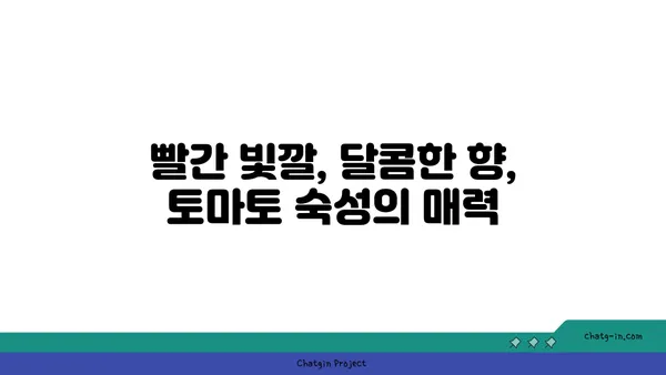 토마토 숙성| 완벽한 붉은색과 달콤한 맛으로 변신시키는 6가지 비법 | 토마토 숙성, 맛있게 익히기, 빨갛게 익는 토마토