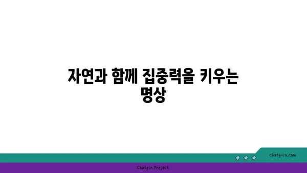 옥스아이 데이지와 함께하는 마음챙김 연습| 집중력 향상과 평온 찾기 | 명상, 자연, 집중, 스트레스 해소