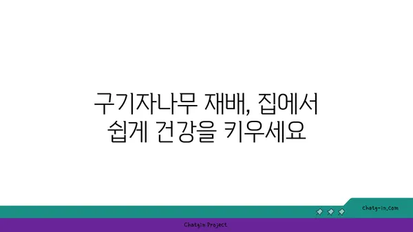 구기자나무 효능과 재배 | 건강, 면역력, 재배 정보, 효능