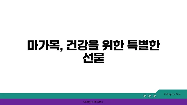 마가목의 효능과 부작용| 섭취 방법 및 주의사항 | 건강, 약초, 민간요법