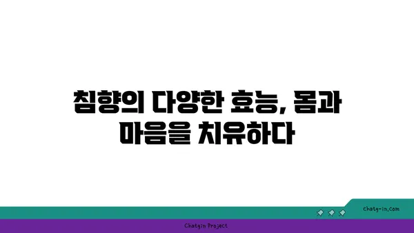 침향의 치유력 발견| 건강과 안녕을 위한 고대 치료법 | 침향 효능, 침향 사용법, 침향 건강 혜택