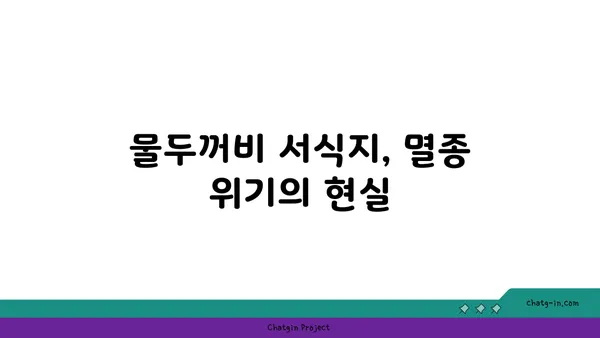 물두꺼비 생태 관찰 가이드 | 양서류, 서식지, 보호