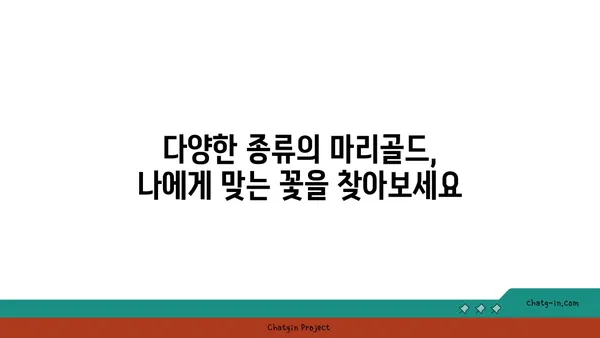 마리골드 꽃의 매력, 심는 방법부터 관리까지 완벽 가이드 | 마리골드 키우기, 꽃말, 종류, 효능