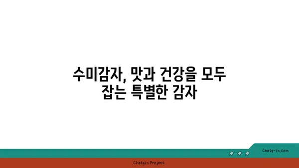 수미감자| 감자와 고구마를 능가하는 건강한 선택 | 수미감자 효능, 수미감자 레시피, 수미감자 재배