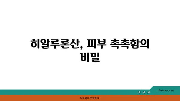 히알루론산의 모든 것| 효능, 종류, 사용법, 주의사항 | 피부, 건강, 미용, 화장품