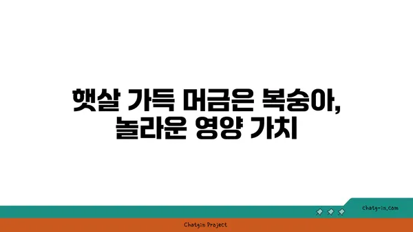 복숭아의 햇볕 맛, 그 속에 담긴 비밀| 영양학적 가치와 맛의 조화 | 복숭아, 건강, 영양, 맛, 효능