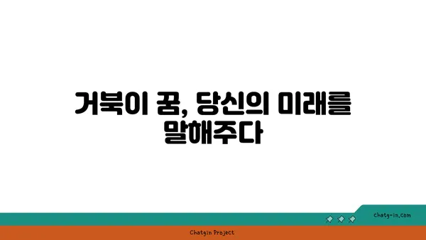 거북이 꿈, 길몽일까? 흉몽일까? | 거북 꿈 해몽, 꿈 해석, 꿈 의미, 거북 꿈 풀이