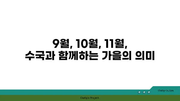 수국의 꽃말| 가을의 의미 | 가을, 꽃말, 의미, 9월, 10월, 11월, 추분, 늦가을, 겨울, 푸른 수국, 흰색 수국, 보라색 수국