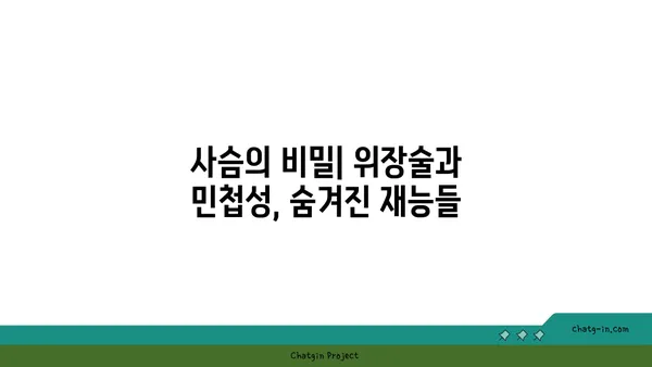 사슴의 비밀|  숲 속 귀족의 생존 전략 | 사슴, 생태, 야생동물, 숲, 동물