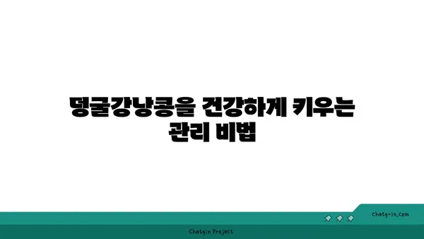 덩굴강낭콩 재배 가이드| 심기부터 수확까지 | 덩굴강낭콩, 텃밭, 채소 재배, 콩