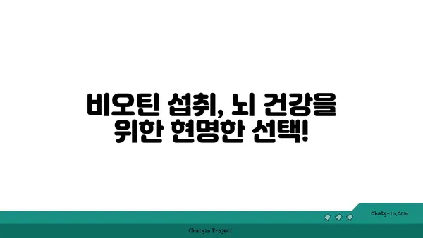 비오틴과 인지 기능| 당신의 두뇌 건강을 위한 필수 영양소 | 비오틴, 인지 능력, 두뇌 건강, 기억력, 집중력